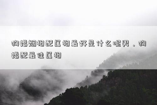 狗婚姻相配属相最好是什么呢男，狗婚配最佳属相