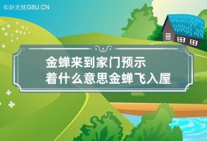 金蝉来到家门预示着什么意思 金蝉飞入屋是什么预兆