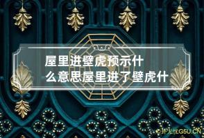 屋里进壁虎预示什么意思 屋里进了壁虎什么预兆,怎么处理?