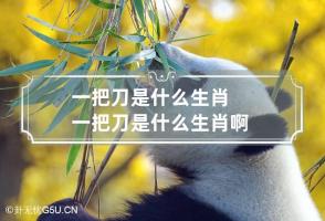 一把刀是什么生肖? 一把刀是什么生肖啊