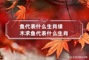 鱼代表什么生肖 缘木求鱼代表什么生肖