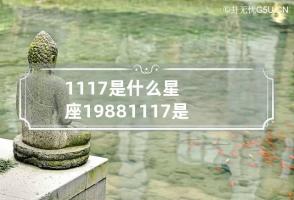 11.17是什么星座 19881117是什么星座