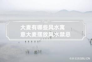 大麦有哪些风水寓意 大麦摆放风水禁忌