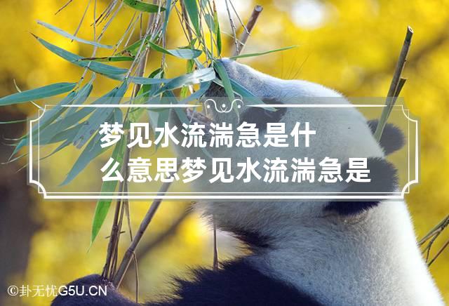 梦见水流湍急是什么意思 梦见水流湍急是什么意思梦见被人阻住水流的方向