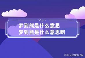 梦到熊是什么意思 梦到熊是什么意思啊