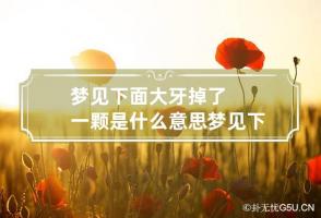 梦见下面大牙掉了一颗是什么意思 梦见下面大牙齿掉了一颗是什么意思