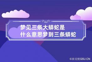 梦见三条大蟒蛇是什么意思 梦到三条蟒蛇预示着什么周公解梦