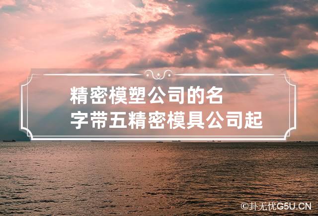 精密模塑公司的名字带五 精密模具公司起名字