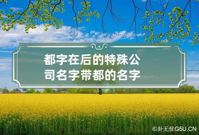 都字在后的特殊公司名字 带都的名字