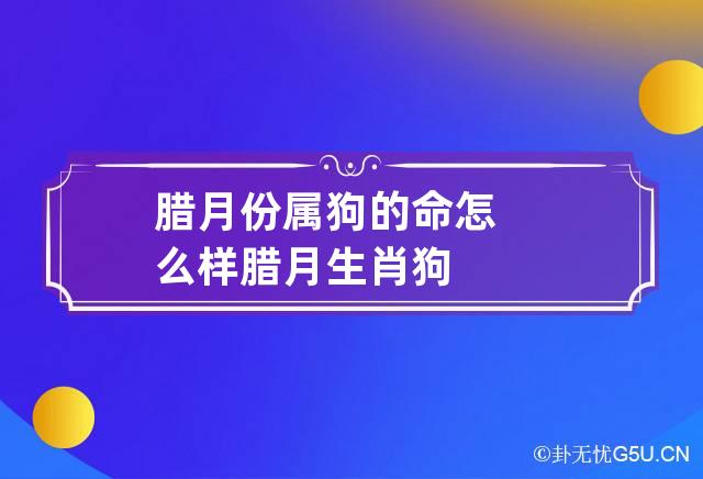 腊月份属狗的命怎么样 腊月生肖狗