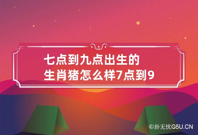 七点到九点出生的生肖猪怎么样 7点到9点属什么生肖