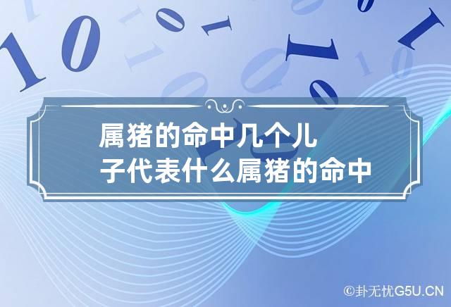 属猪的命中几个儿子代表什么 属猪的命中几个儿子代表什么呢