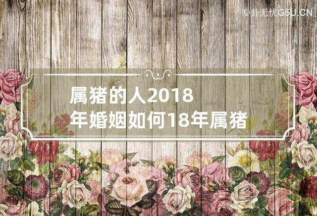 属猪的人2018年婚姻如何 18年属猪的运势