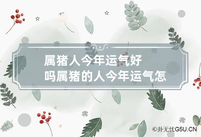 属猪人今年运气好吗 属猪的人今年运气怎么样爱情怎么样