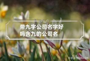 带九字公司名字好吗 含九的公司名