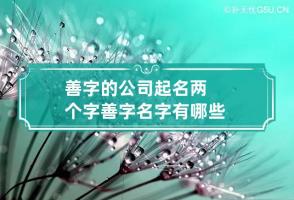 善字的公司起名两个字 善字名字有哪些