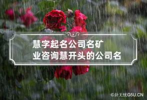 慧字起名公司名矿业咨询 慧开头的公司名字