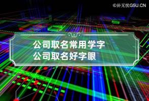 公司取名常用学字 公司取名好字眼