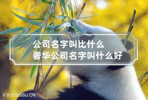 公司名字叫比什么奢华 公司名字叫什么好呢