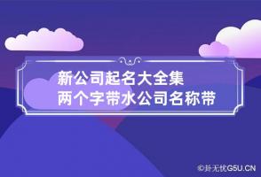 新公司起名大全集两个字带水 公司名称带水的字