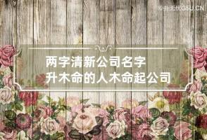 两字清新公司名字升木命的人 木命起公司名字