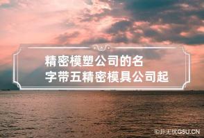 精密模塑公司的名字带五 精密模具公司起名字