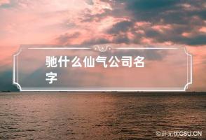 驰什么仙气公司名字