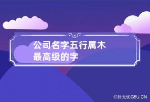 公司名字五行属木最高级的字