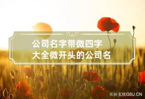 公司名字带微四字大全 微开头的公司名