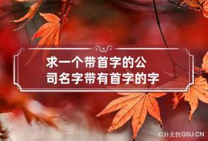 求一个带首字的公司名字 带有首字的字