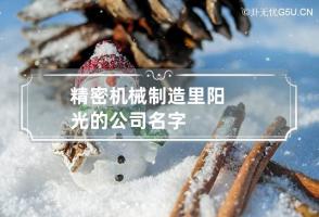 精密机械制造里阳光的公司名字