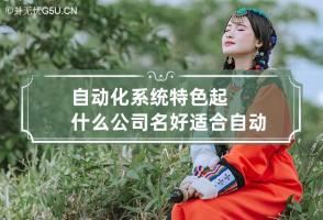 自动化系统特色起什么公司名好 适合自动化公司的名称