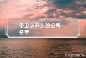 带卫字开头的公司名字