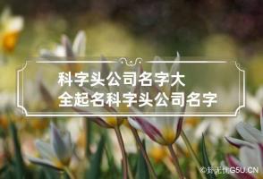 科字头公司名字大全起名 科字头公司名字大全