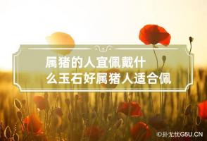 属猪的人宜佩戴什么玉石好 属猪人适合佩戴什么