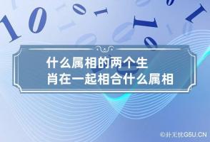 什么属相的两个生肖在一起相合 什么属相的两个生肖在一起相合好