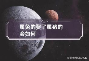 属兔的娶了属猪的会如何