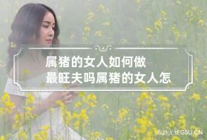 属猪的女人如何做最旺夫吗 属猪的女人怎么样旺夫