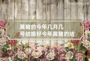 属猪的今年几月几号结婚好 今年属猪的结婚月几月份好?