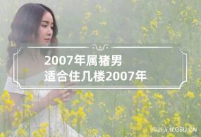 2007年属猪男适合住几楼 2007年生肖猪适合住几楼