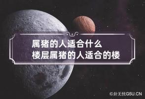 属猪的人适合什么楼层 属猪的人适合的楼层