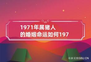 1971年属猪人的婚姻命运如何 1971年属猪人的婚姻怎么样