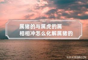 属猪的与属虎的属相相冲怎么化解 属猪的和属虎的相冲吗?