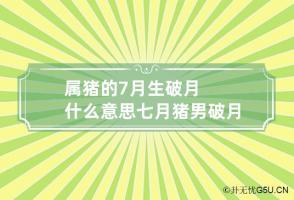 属猪的7月生破月什么意思 七月猪男破月