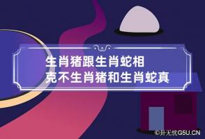 生肖猪跟生肖蛇相克不 生肖猪和生肖蛇真的不能在一起吗