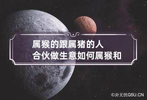 属猴的跟属猪的人合伙做生意如何 属猴和属猪合作能不能挣钱