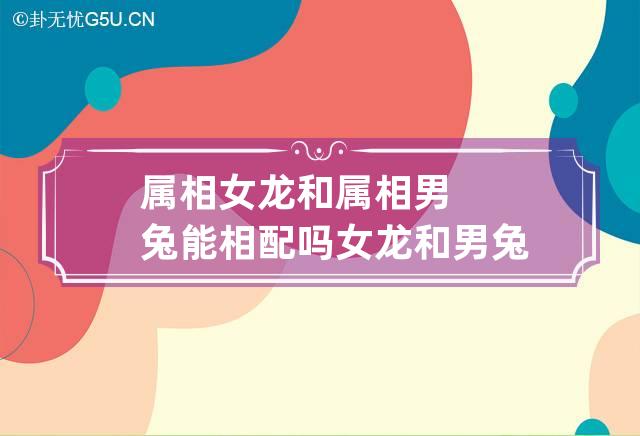 属相女龙和属相男兔能相配吗 女龙和男兔属相是否可以婚配吗