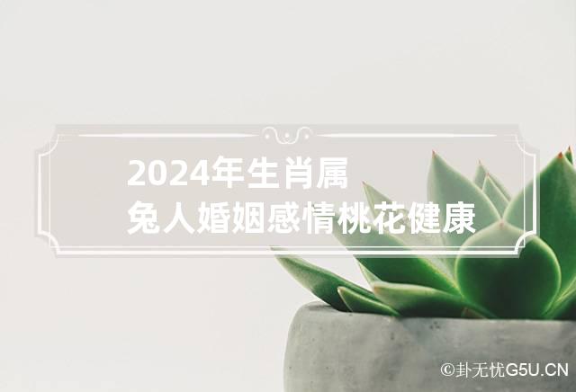 2024年生肖属兔人婚姻/感情/桃花/健康运势