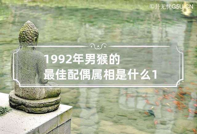 1992年男猴的最佳配偶属相是什么 1992年属猴男婚姻与命运感情