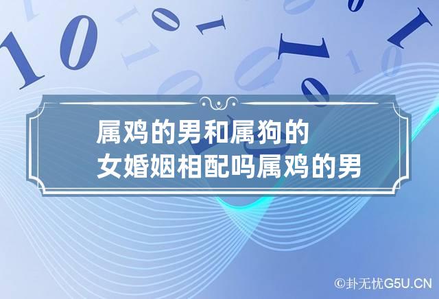 属鸡的男和属狗的女婚姻相配吗 属鸡的男和属狗的女婚配好不好